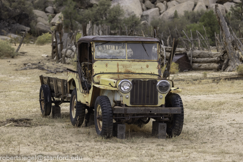 Desert Biogeography of Joshua Tree National Park